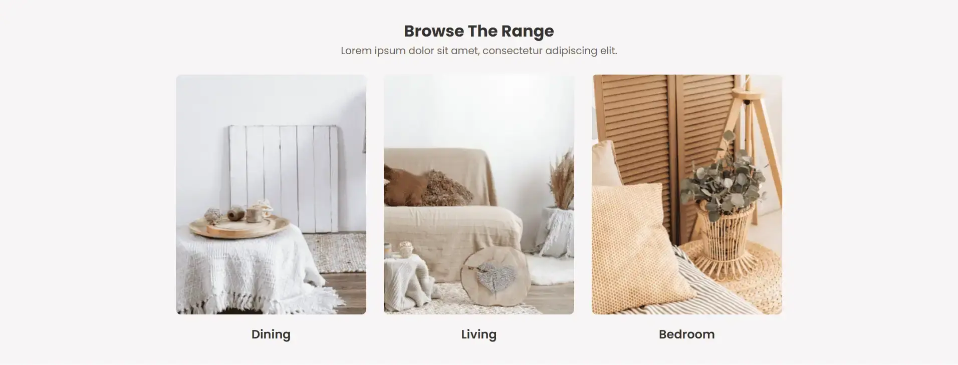 Modern Furniture E-Commerce screenshot 7